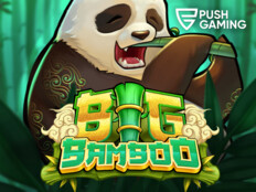 Bingo casino bonus31